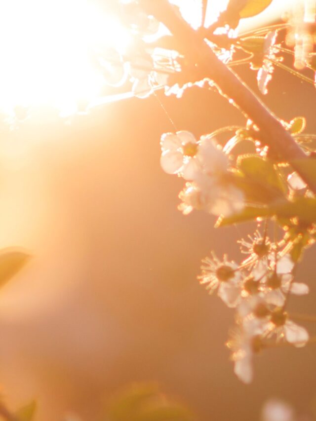 Read more about the article Morning Routine Habits That Will Change Your Life